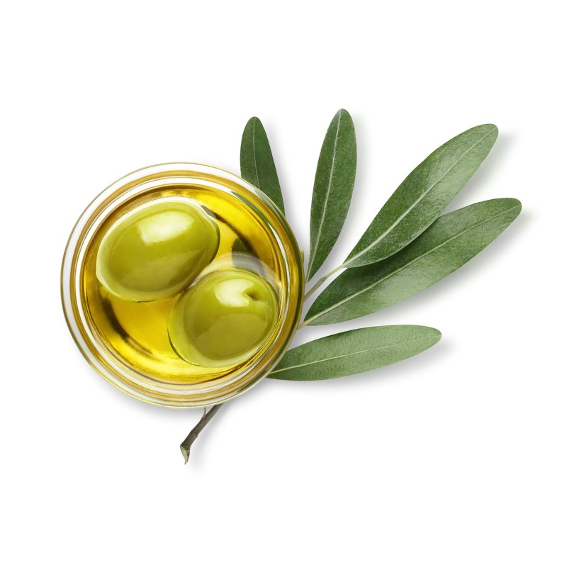 Olive Oil Supplier - High Quality Cold Press