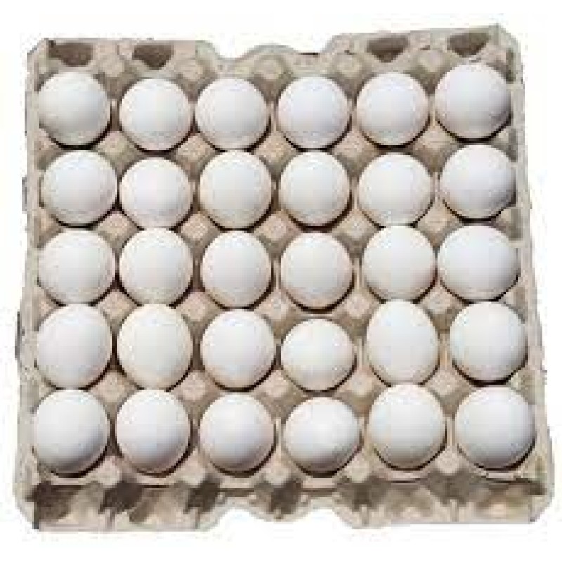 Table Eggs Factory - Farm Fresh Brown White