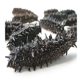 Sea Cucumber Factory - High Quality Dried