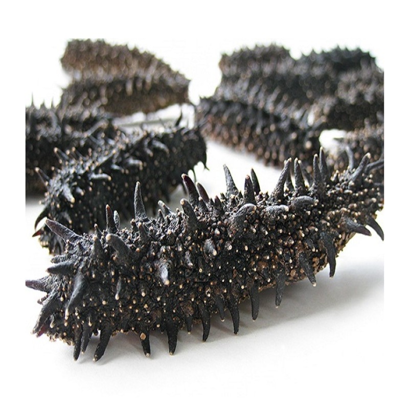 Sea Cucumber Factory - High Quality Dried