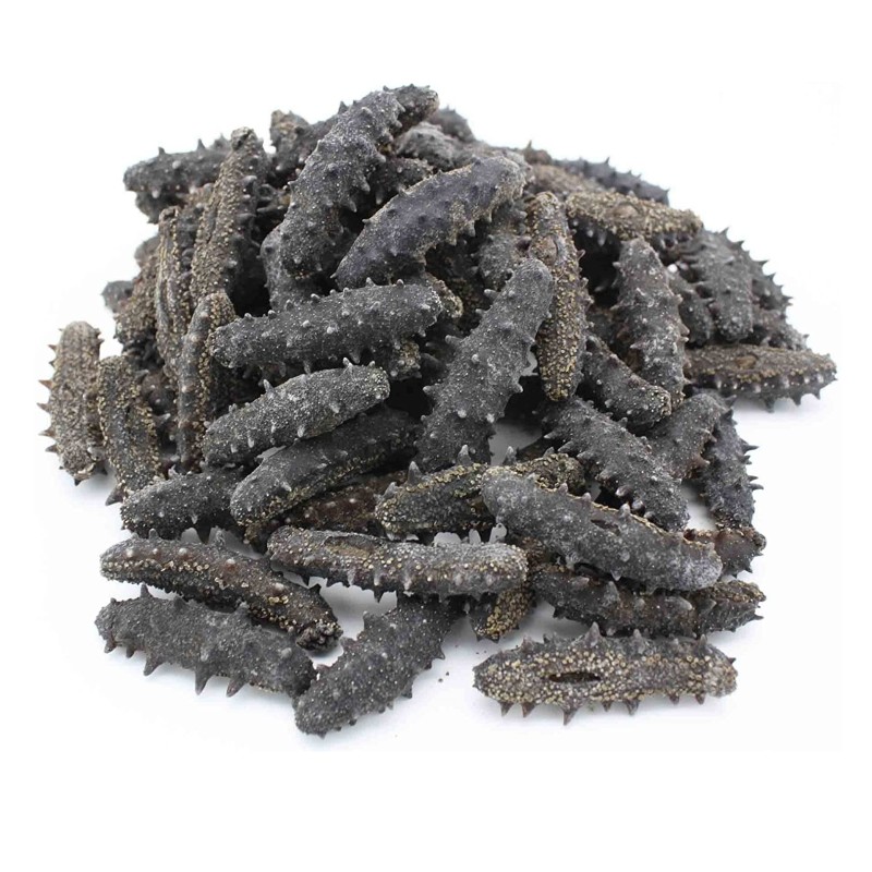 Sea Cucumber Factory - High Quality Dried