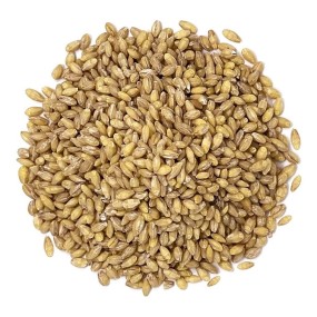 Barley Manufacturer - Foods Compositional Grains