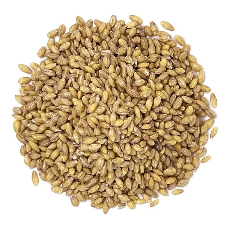 Barley Manufacturer - Foods Compositional Grains