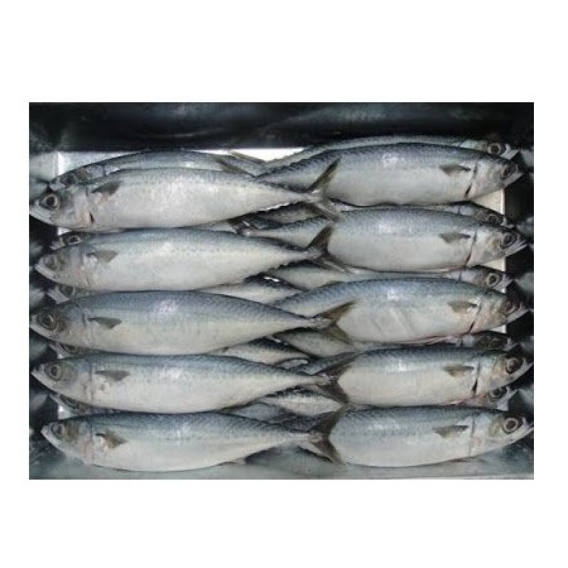 Fish Factory - Organic Frozen Pacific Mackerel