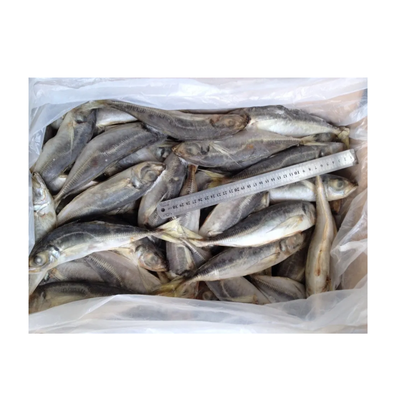 Seafood Manufacturer - High Quality Frozen Horse