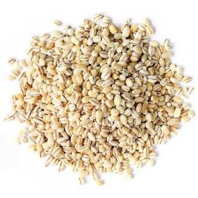 Barley Supplier - Dry Brown Whole Grain 2mm