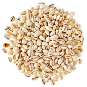 Barley Supplier - Feed Barley Natural Organic