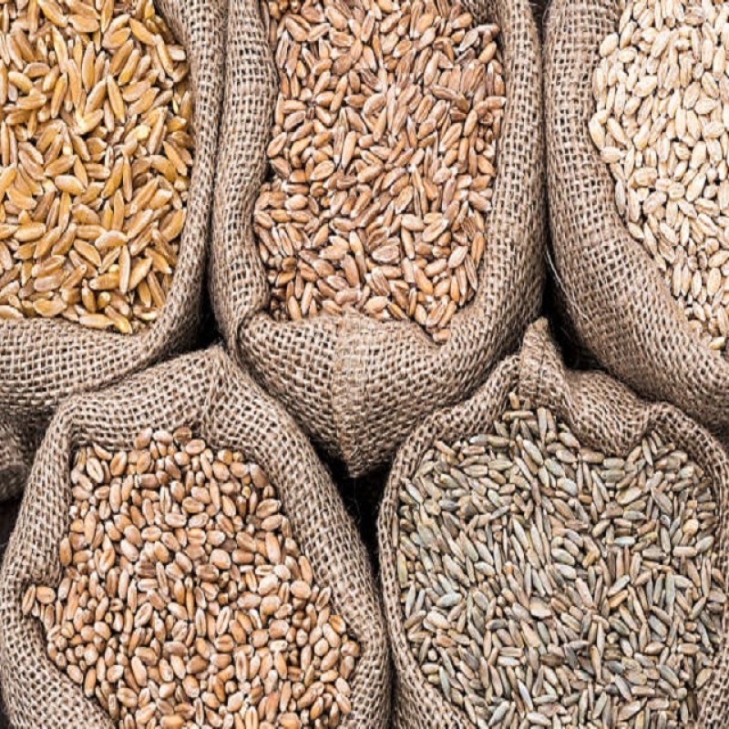 Barley Factory - Baking Ingredients Pearl