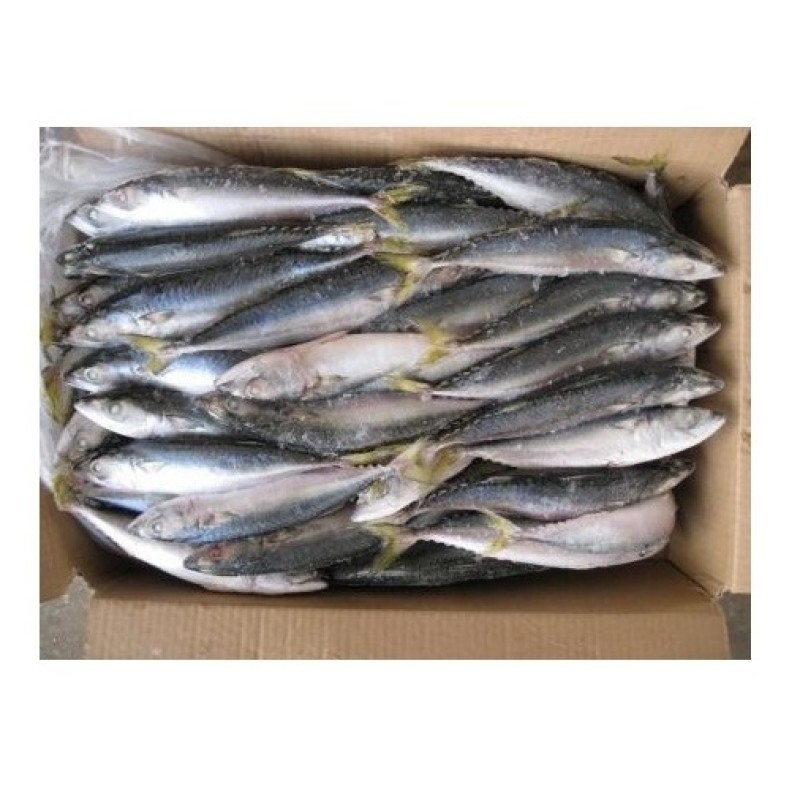 Fish Factory - Organic Frozen Pacific Mackerel