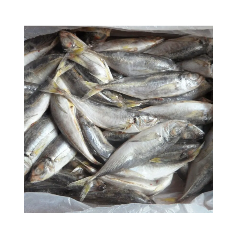 Mackerel Supplier - Brazil Export Frozen Horse