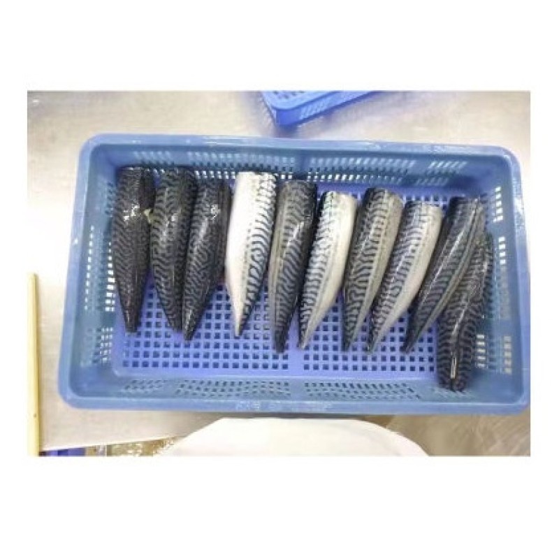 Fish Factory - High Quality Organic Frozen