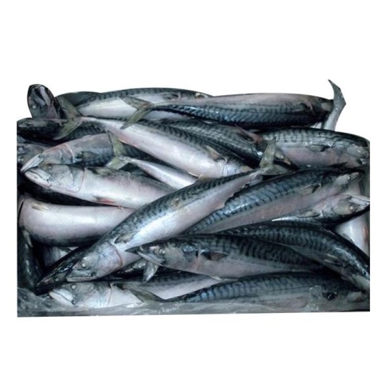 Seafood Manufacturer - High Quality Frozen Horse