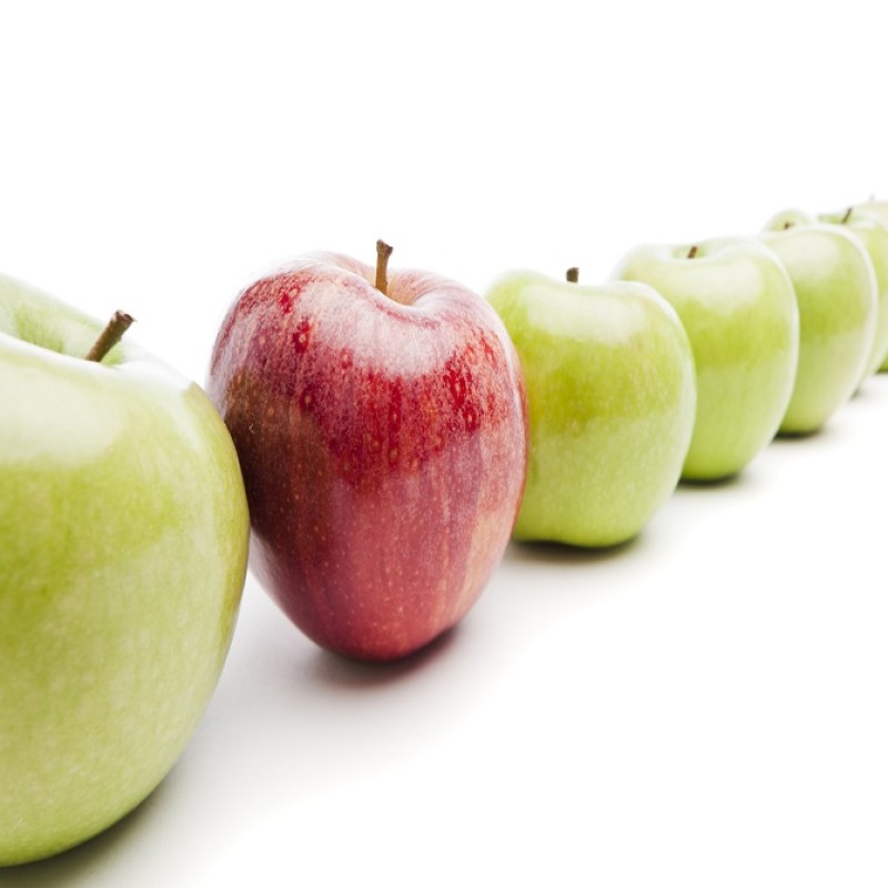 Apples Supplier - High Quality Fuji Gala 42g