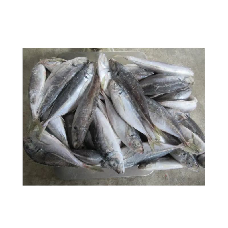 Seafood Manufacturer - Organic 100-200g Frozen