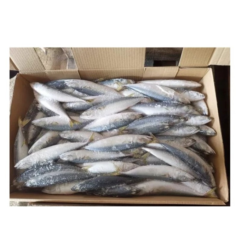 Seafood Manufacturer - Wholesale Premium IQF