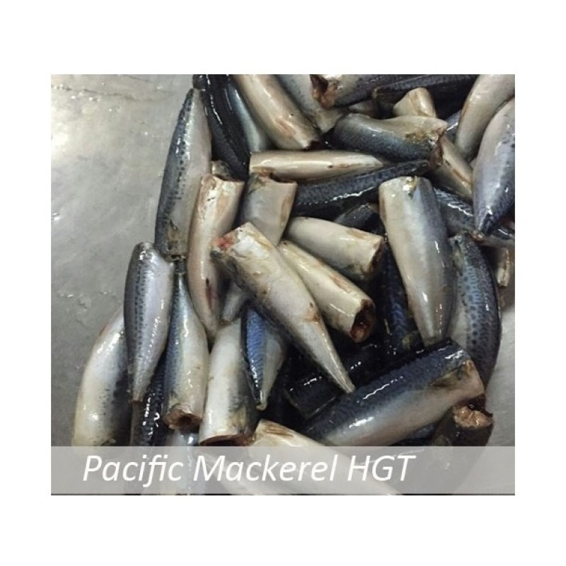 Fish Manufacturer - BQF IQF Whole Frozen