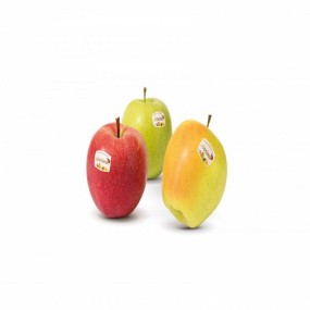 Apples Supplier - Fresh Apple Bulk Chinese