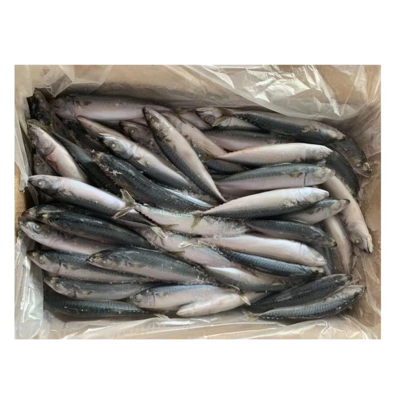 Seafood Manufacturer - Organic 100-200g Frozen