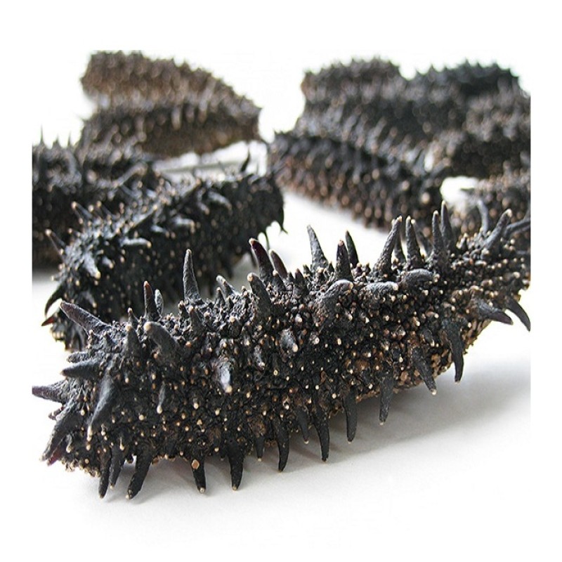 Sea Cucumber Factory - High Quality Dried