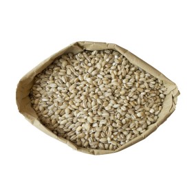 Barley Manufacturer - Premium Grade Organic