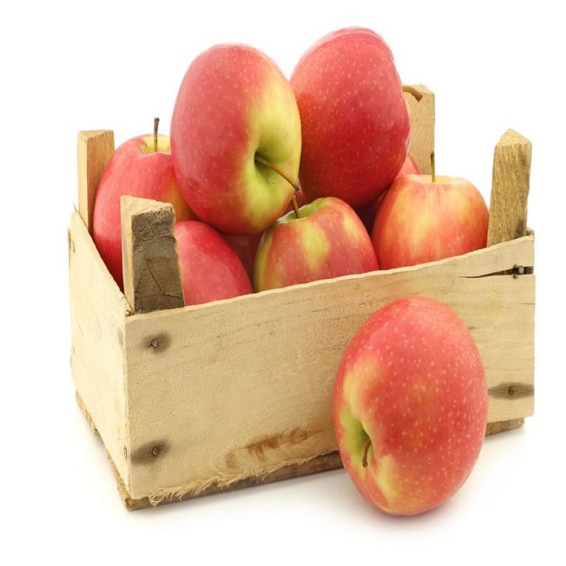 Apples Factory - Rich Nutrition Red Apples