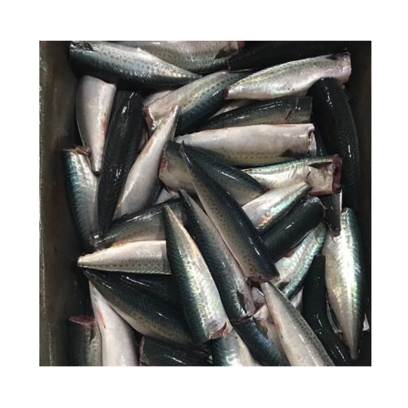 Seafood Manufacturer - High Quality Frozen Horse