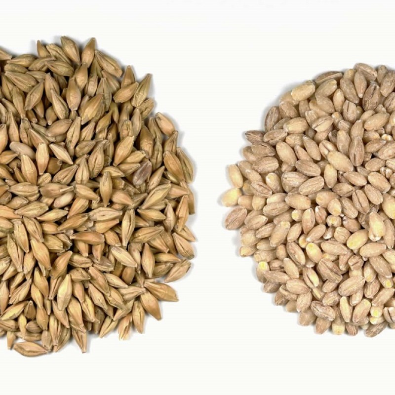 Barley Manufacturer - Dry Fruit Hub 1kg Organic