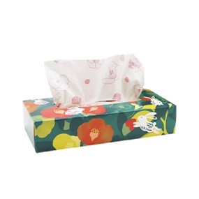 Box Tissue Manufacturer - 120W 2 Ply Recycled Pulp Facial