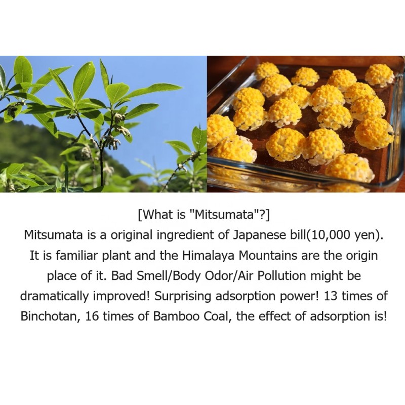 Charcoal Soap Factory - Mitsumata Charcoal Powder Black Soap