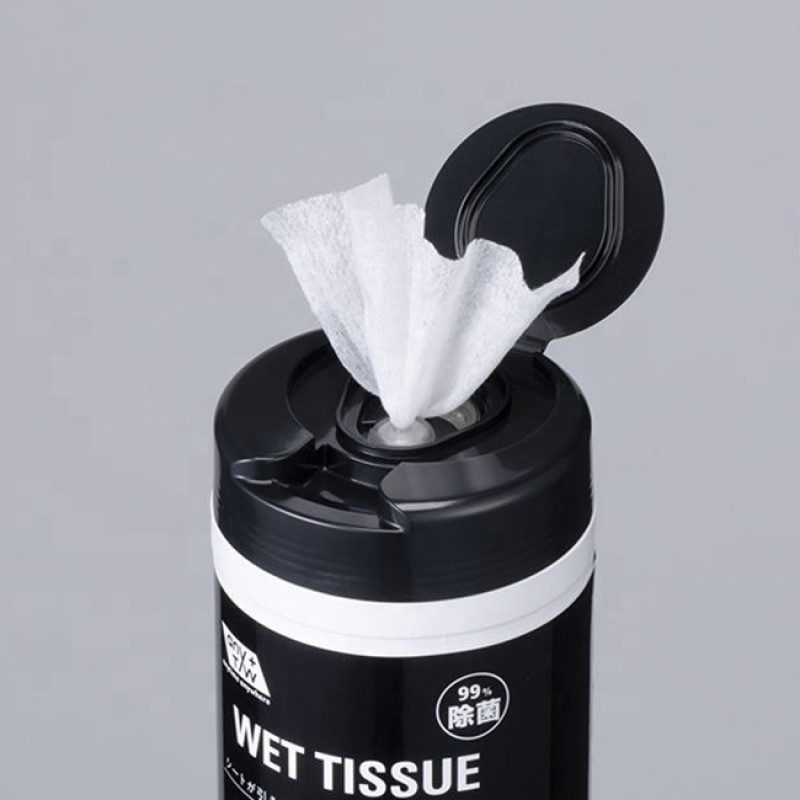 Antibacterial Wipes Manufacturer - 100 Sheets Non-Woven Household