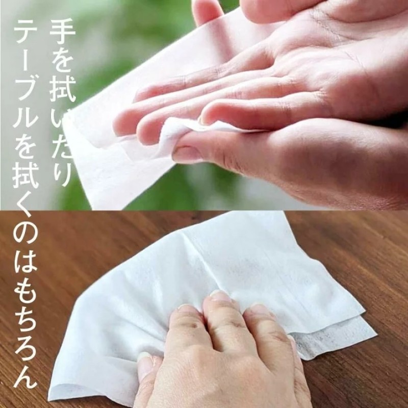 Antibacterial Wipes Manufacturer - 100 Sheets Non-Woven Household