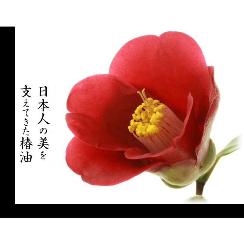 Face Wash Manufacturer - White Tsubaki Camellia Oil 190g New