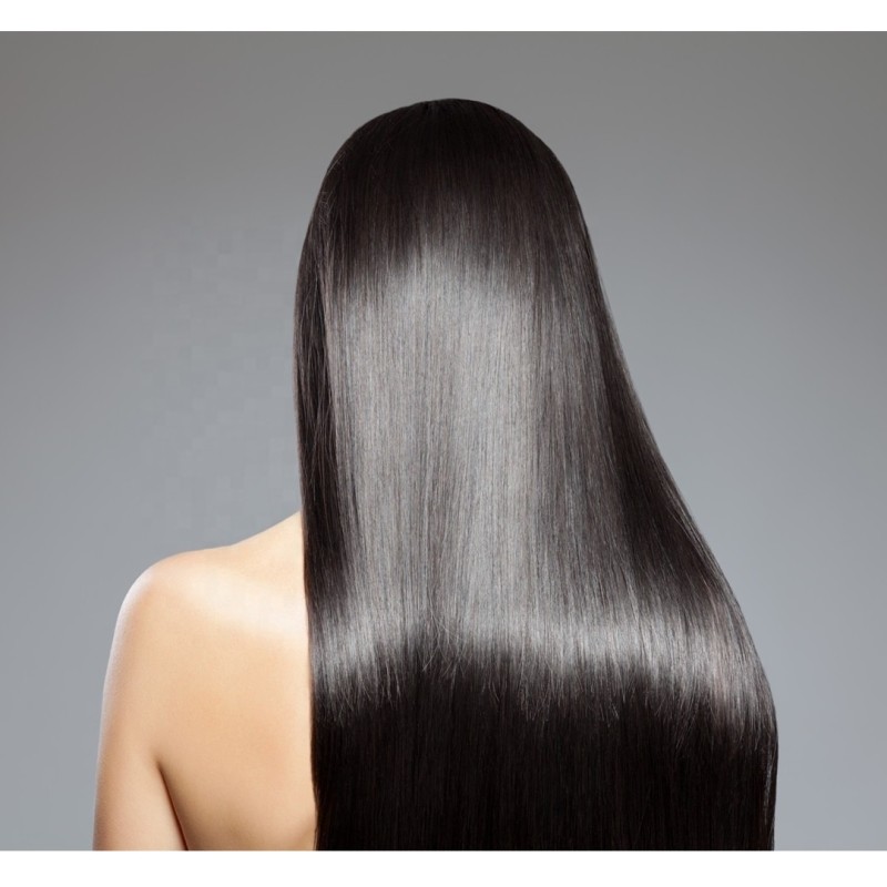 Hair Shampoo Factory - Horse Oil Coconut Camellia 400ml