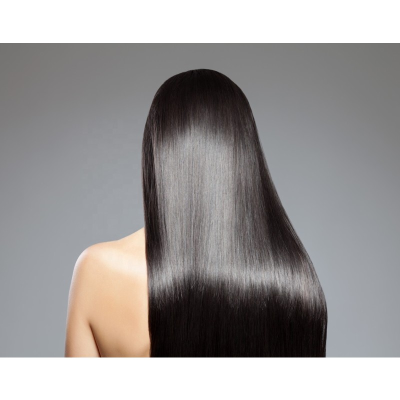 Camellia Oil Shampoo Manufacturer - 600ml Plant Extract Moisturizing