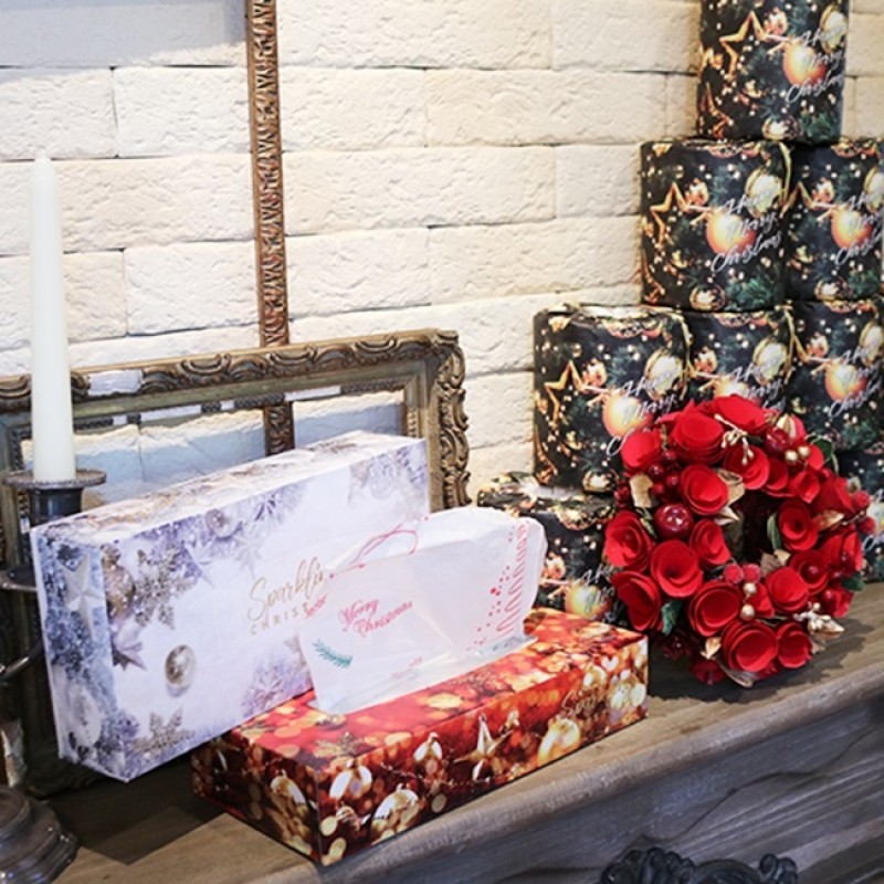 Toilet Tissue Manufacturer - Santa Design Christmas 1R 27.5m