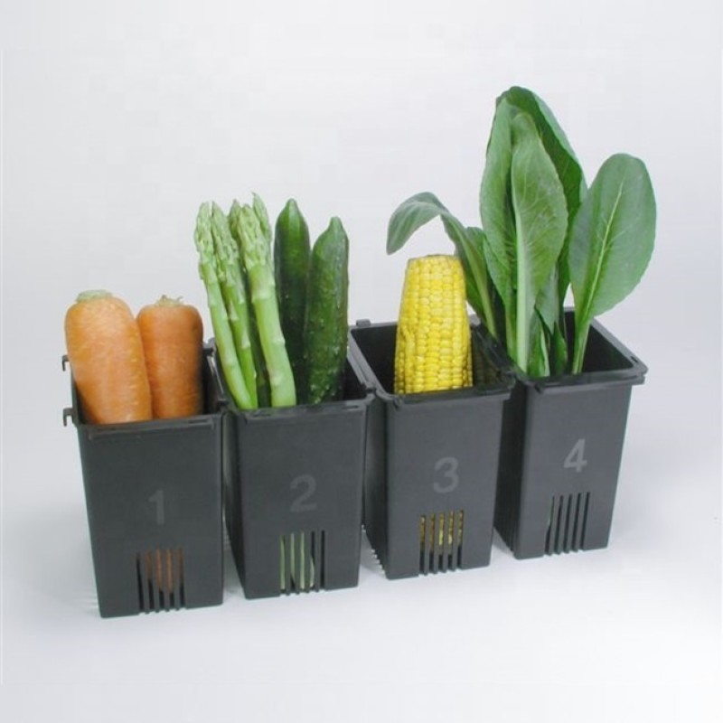 Vegetable Holder Manufacturer - Box Binchotan Charcoal Material 4set