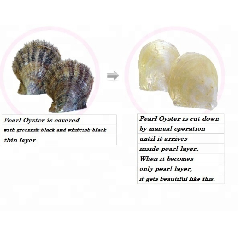 Pearl Powder Soap Factory - 70g Body Wash Wholesale Price