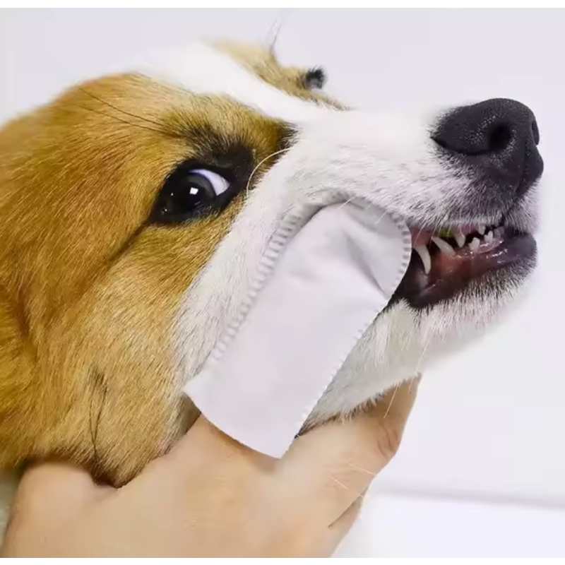 Pet Wipes Factory - Finger Ear Cleaner for Dogs Dental