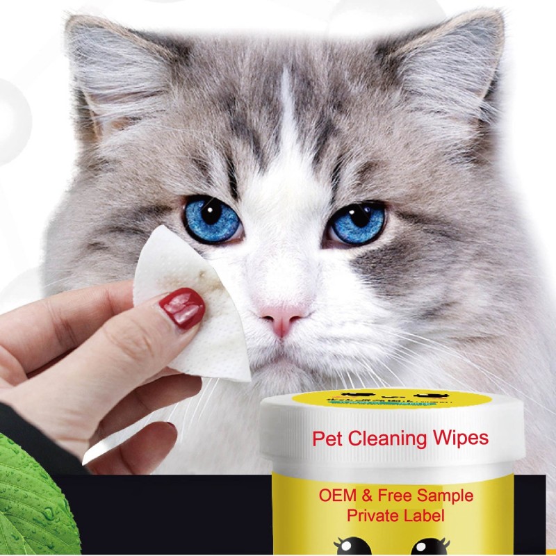 Pet Care Wipes Manufacturer - 70Pcs Small Bioline Teeth