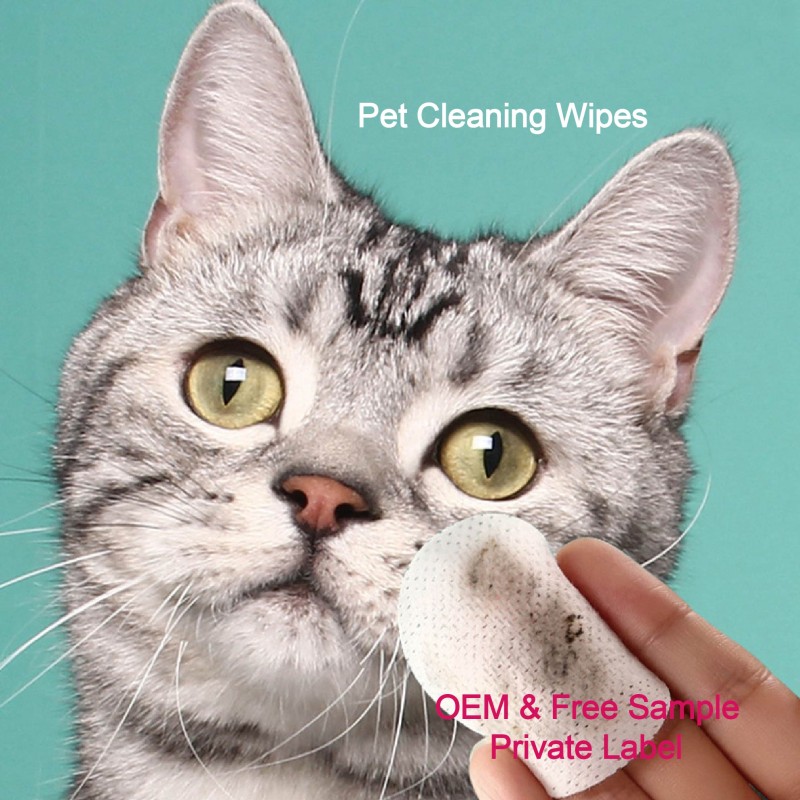 Pet Wipes Supplier - Finger Cleaning Wipes for Dogs Ear