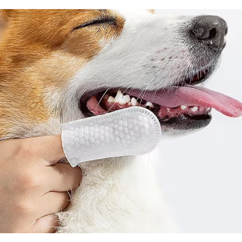 Pet Dental Wipes Manufacturer - Ears Clean Teeth Finger