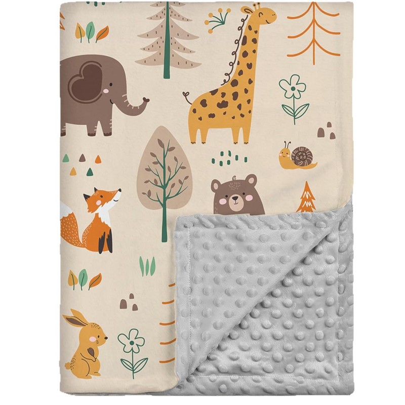 Baby Blanket Manufacturer - Printing Soft Breathable Minky Dot