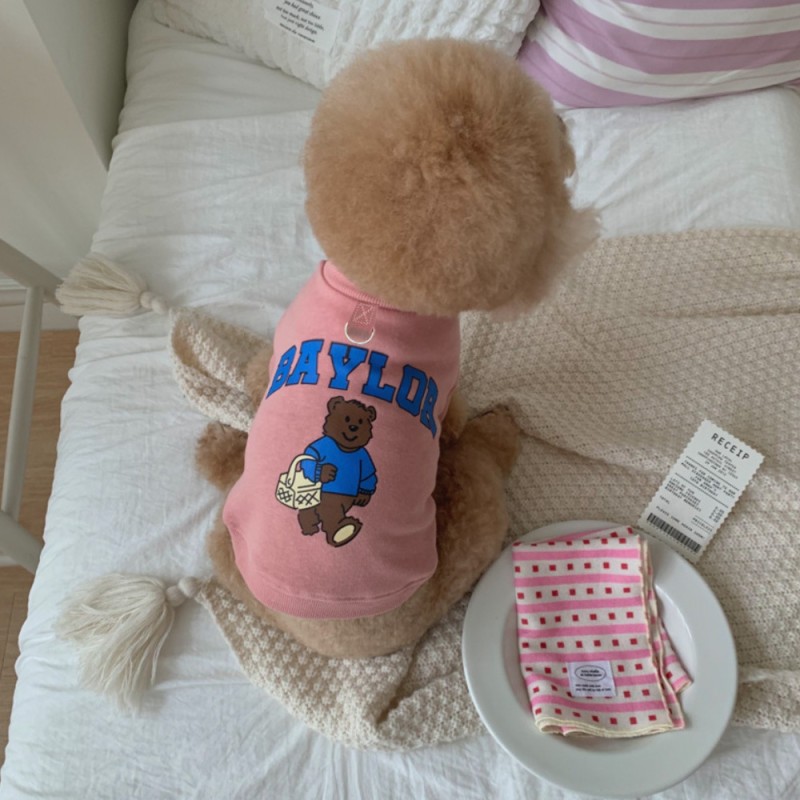 Pet Hoodie Manufacturer - Bear Two-Legged Fleece Warm Cotton