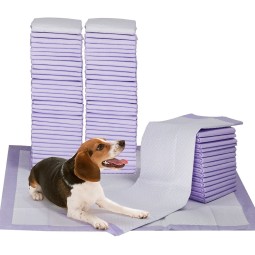 Pet Training Pads Factory - 60 X 60cm Super