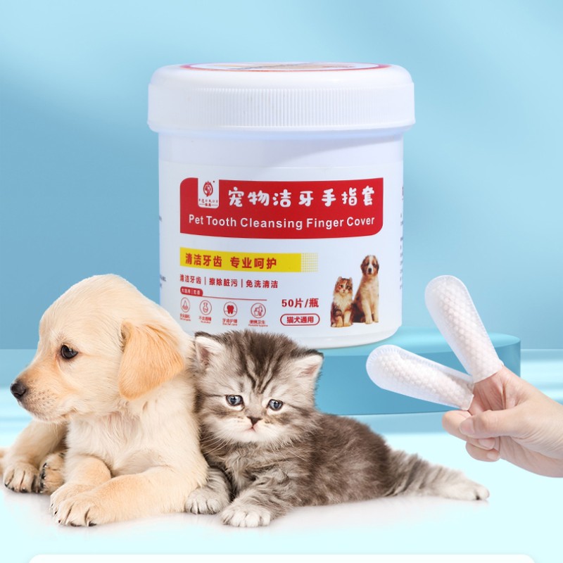 Pet Dental Wipes Supplier - Baorou Cat Pet