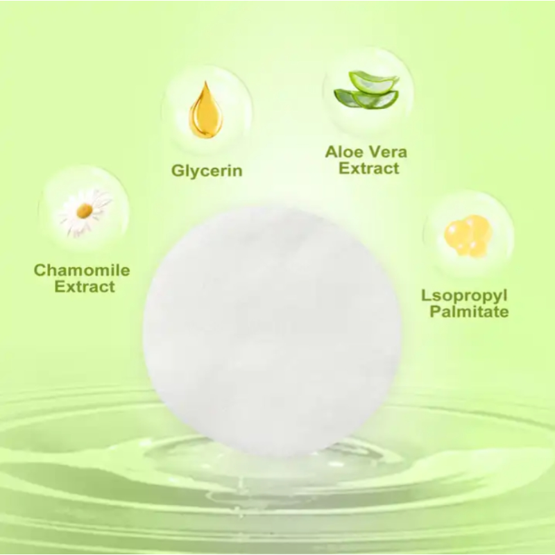 Pet Ear Wipes Supplier - 200PCS Hot Sale