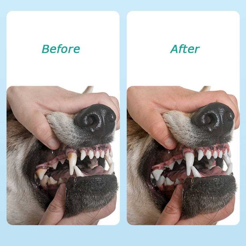 Pet Dental Wipes Supplier - Baorou Cat Pet