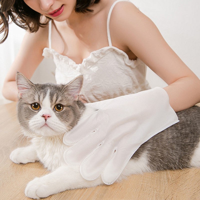 Pet Wash Supplier - Pet Wash Free Five