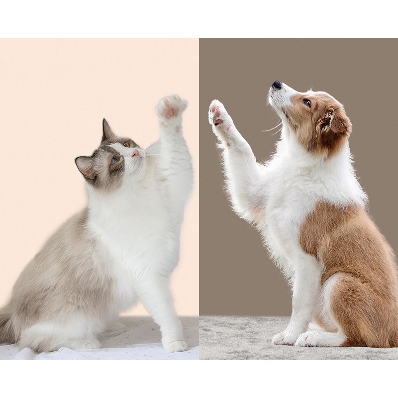 Tear Stain Remover Factory - 200PCS Safe Plant