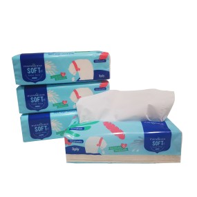 Facial Tissue Supplier - Premium Quality Custom